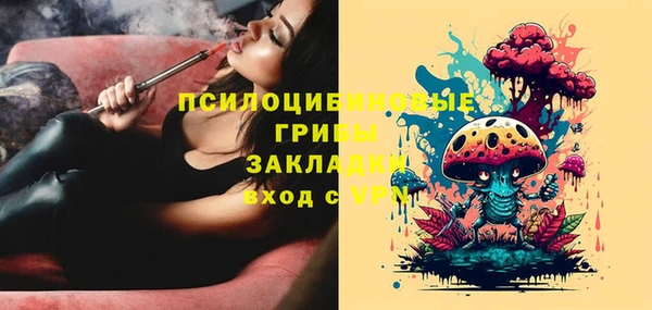 спиды Осинники