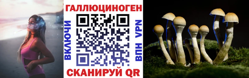 наркошоп  Урус-Мартан  Псилоцибиновые грибы Magic Shrooms 