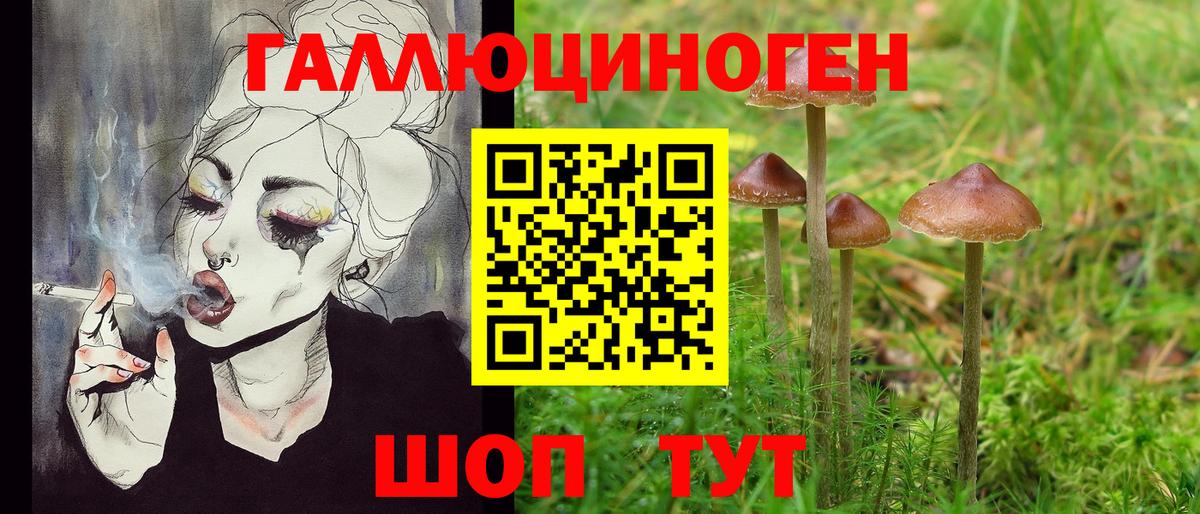 Псилоцибиновые грибы Psilocybe  где купить наркотик  Урус-Мартан  Псилоцибиновые грибы MAGIC MUSHROOMS  Вход с VPN 